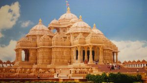 Cricket Betting for Beginners in Delhi: Complete 2026 Guide for Indian Players